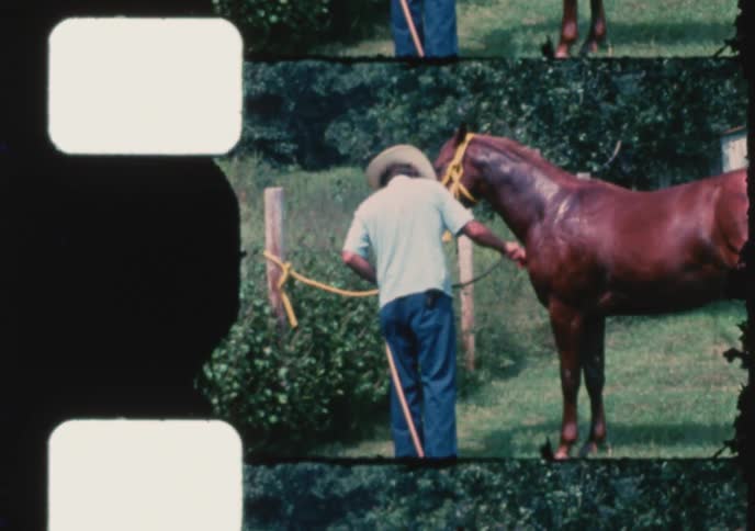 A man in a cowboy hat washes and scrubs his brown horse with soap and water on a sunny day at the ranch