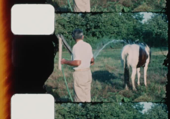 Vintage home movie footage shows a man giving his piebald horse a refreshing wash with a garden hose in a sunny pasture