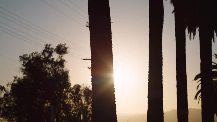 The sun sets behind silhouetted palm trees and a telephone pole, creating a beautiful lens flare