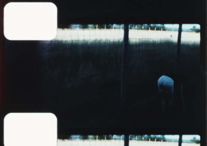 Nostalgic home movie footage shows scenes from the countryside, including a girl by a fence and a deer in the woods