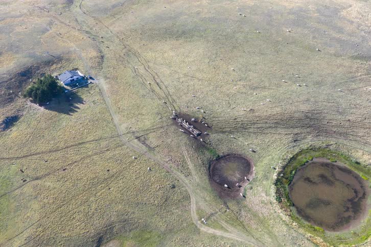 Aerial timelapse of cattle grazing in a vast mountain pasture, with shadows from clouds moving across the landscape