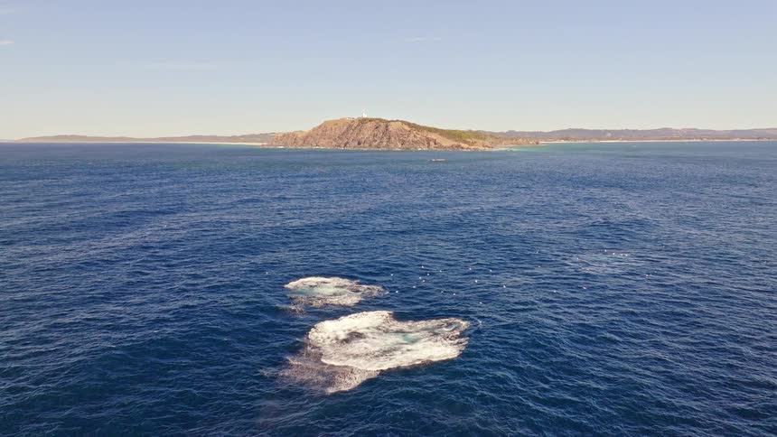 Aerial view of humpback whales creating large splashes with their tails in the deep blue ocean near a coastal headland
