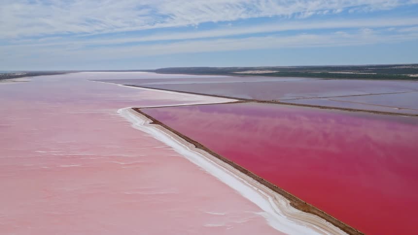 A wide, static aerial view captures the otherworldly beauty of divided pink and magenta salt lakes with white salt-encrusted shores