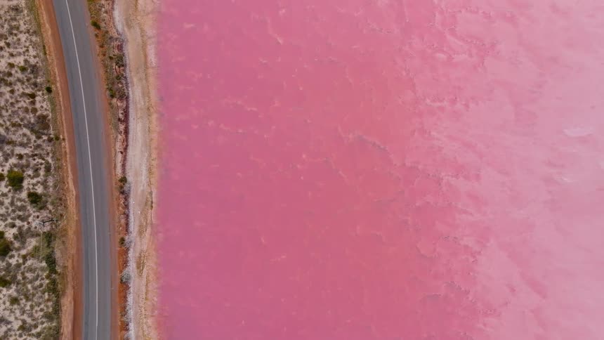 A stunning top-down aerial view shows a paved road running alongside the vibrant pink waters of a salt lake
