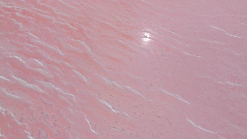 An aerial view pulls back from a close-up of pink salt water to reveal the vast and vibrant Hutt Lagoon in Western Australia