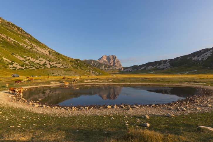 A timelapse shows a herd of cows drinking from a serene mountain pond that perfectly reflects the Gran Sasso massif at sunrise