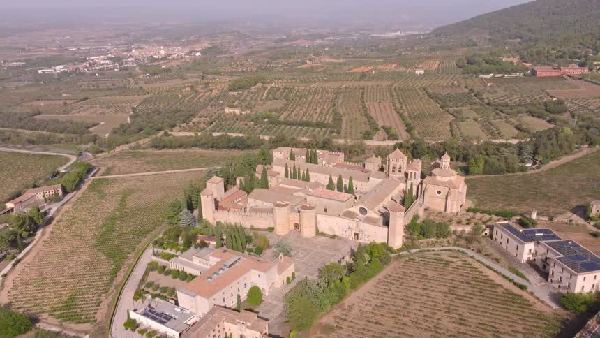 Static aerial view of a majestic medieval monastery complex surrounded by vast vineyards and a lush, rolling countryside