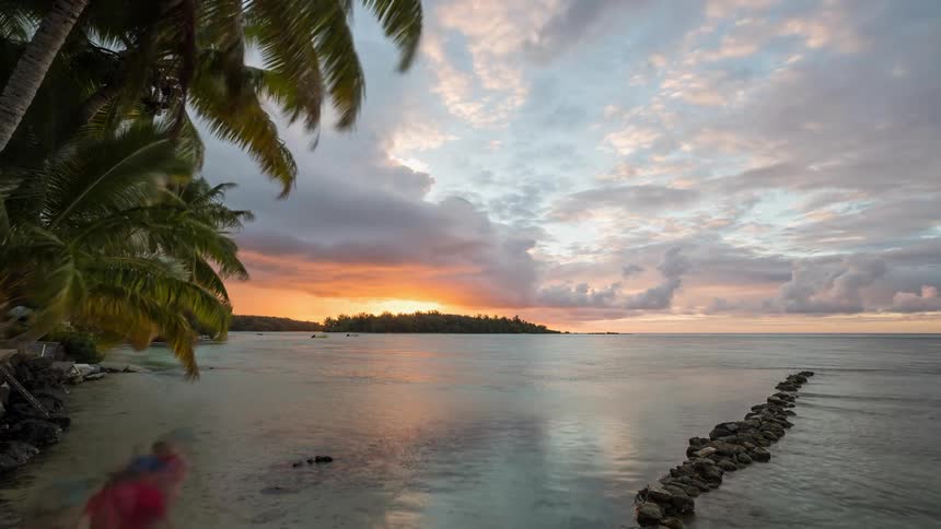 A stunning timelapse of a vibrant tropical sunset over a calm ocean, with palm trees swaying and clouds drifting across the sky