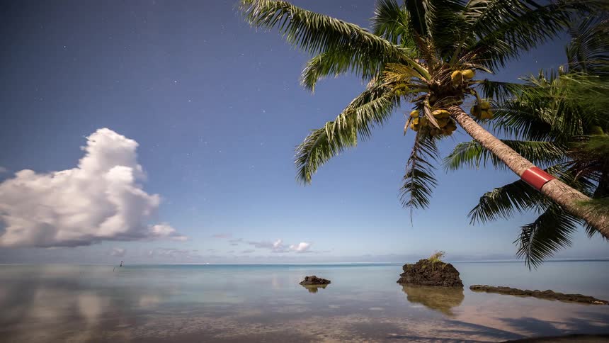 A stunning night timelapse shows clouds and stars moving across the sky over a calm tropical ocean with a coconut palm tree in the foreground