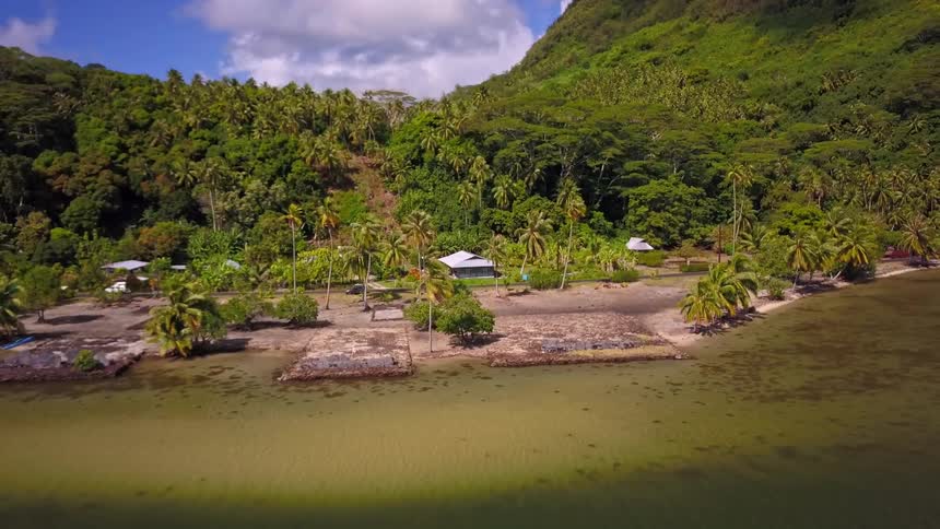 A stunning aerial view pulls back to reveal a beautiful tropical coastline nestled at the base of a lush, forest-covered mountain