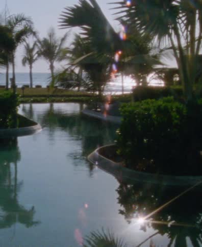 A vintage-style shot of a tranquil tropical resort pool surrounded by palm trees, with the sparkling ocean visible in the background