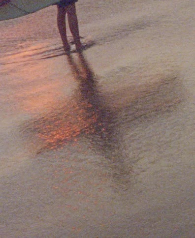 A surfer stands in the shallow ocean water with their surfboard as their shadow is cast on the wet sand during a warm sunset