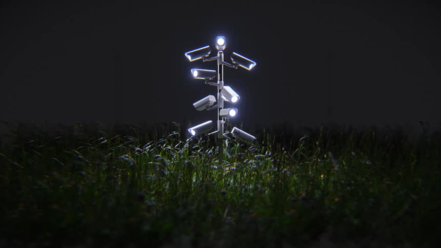 A surreal surveillance camera tree with multiple glowing lights stands ominously in a grassy field at night