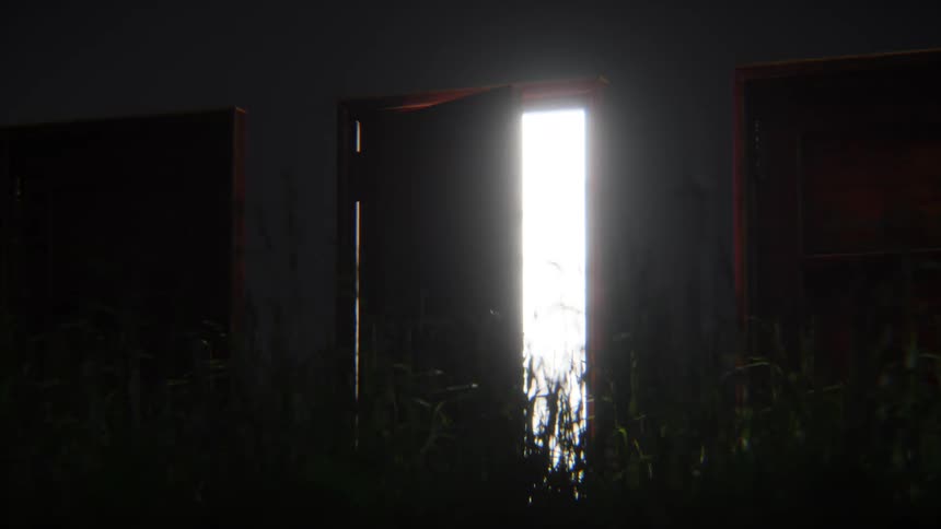 A mysterious door in a dark, grassy field opens and closes, revealing a bright, pulsing light from within