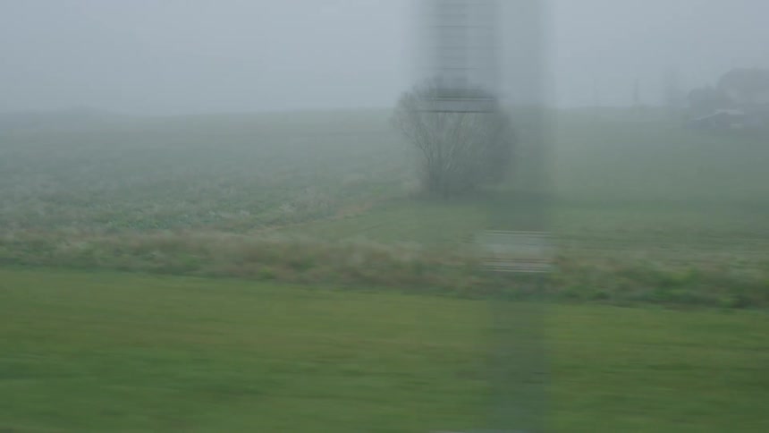 A view from a moving train window reveals a lone leafless tree standing in a vast, foggy green field