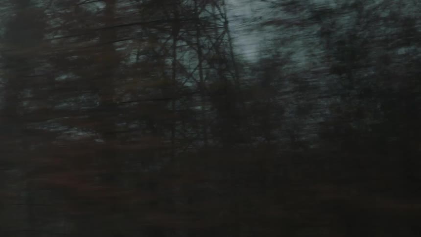 Somber, blurry view from a moving vehicle passing through a dark forest with an electricity pylon at dusk