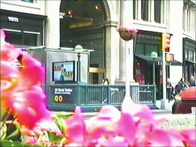 A dreamy, retro view of New York City traffic passing a subway entrance, with vibrant pink flowers blurred in the foreground
