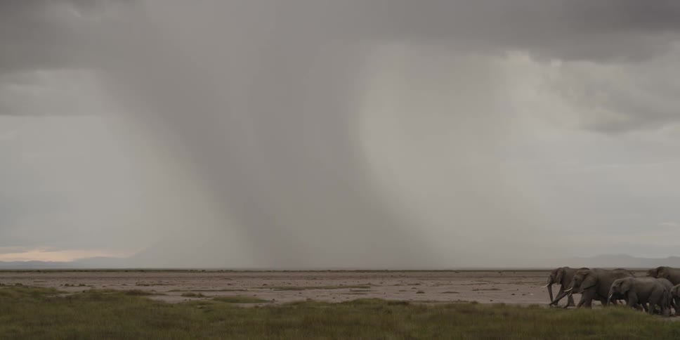 A storm moves across the distance