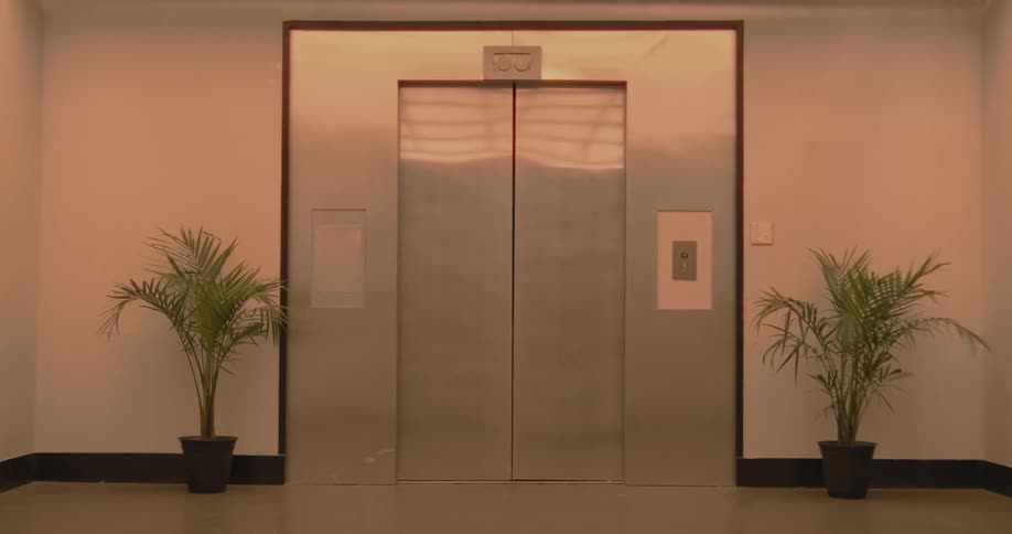 An empty elevator's metallic doors slowly close shut in a quiet building hallway flanked by two potted plants