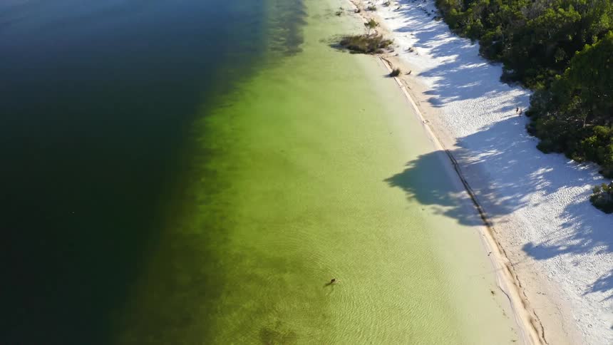 An aerial top-down view of a person floating in a clear green lake reveals a stunning white sand beach and lush forest landscape as the camera pulls back