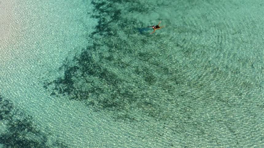A cinematic aerial reveal shot starts with a woman floating in crystal clear water and pulls back to show the vast, beautiful lake surrounded by a forest