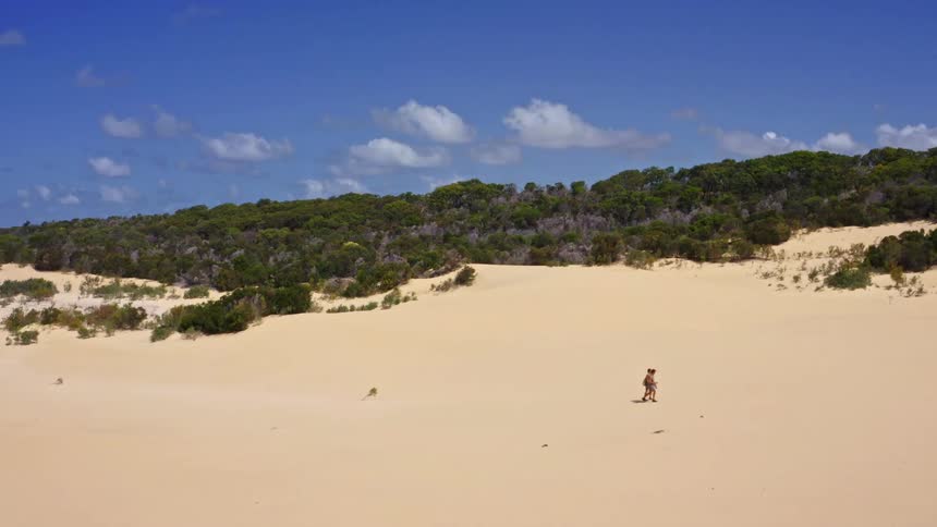 A female hiker with a backpack walks across a vast, sunny desert sand dune with lush green trees in the background