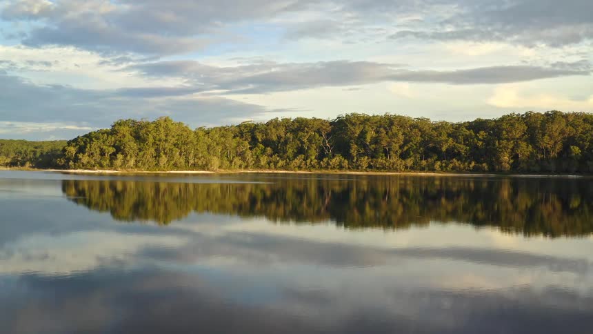 A tranquil lake perfectly mirrors the dense green forest and cloudy sky in a serene, static landscape