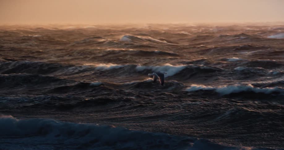 A lone seagull battles strong winds as it flies in slow motion over a rough, stormy ocean during a dramatic golden sunset