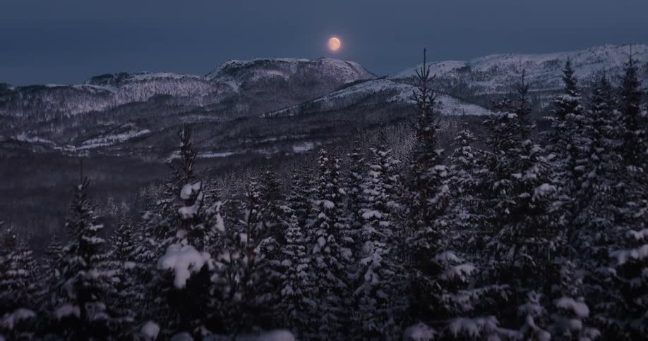 An aerial shot rises above a snow-covered pine forest at night, revealing a majestic mountain landscape illuminated by a full moon