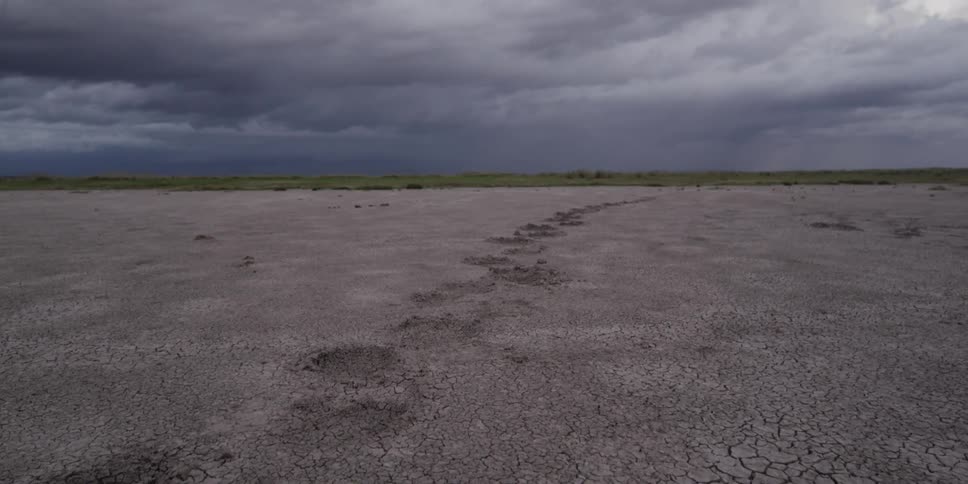 View of a cracked and parched plain on a cloudy day