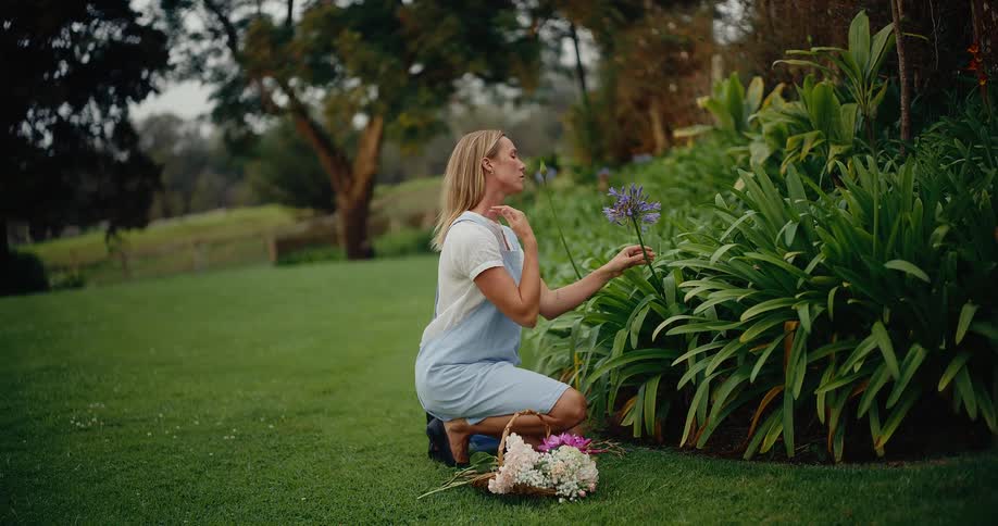 A woman in a blue apron lovingly tends to her garden, stopping to pick a beautiful purple flower for her basket