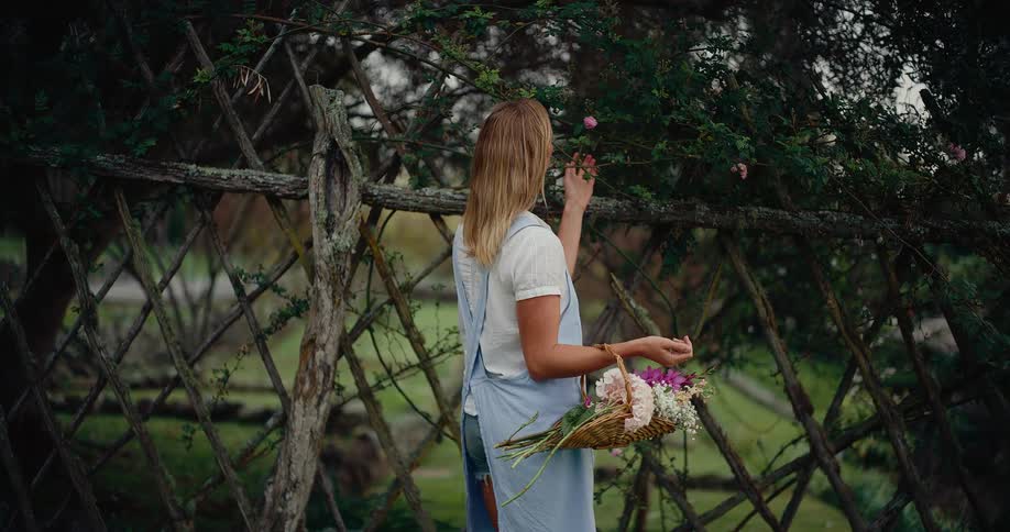 A serene woman in a blue apron holds a basket of flowers while walking and admiring a rustic garden trellis