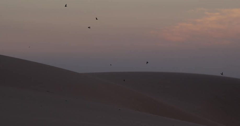 A flock of birds flies in slow motion over vast desert sand dunes at sunset