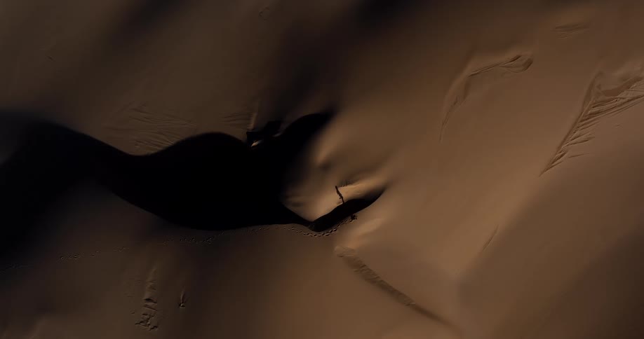 An epic aerial top-down view of a solitary figure walking across a vast, golden desert, emerging from the dark shadows of a massive sand dune into the light