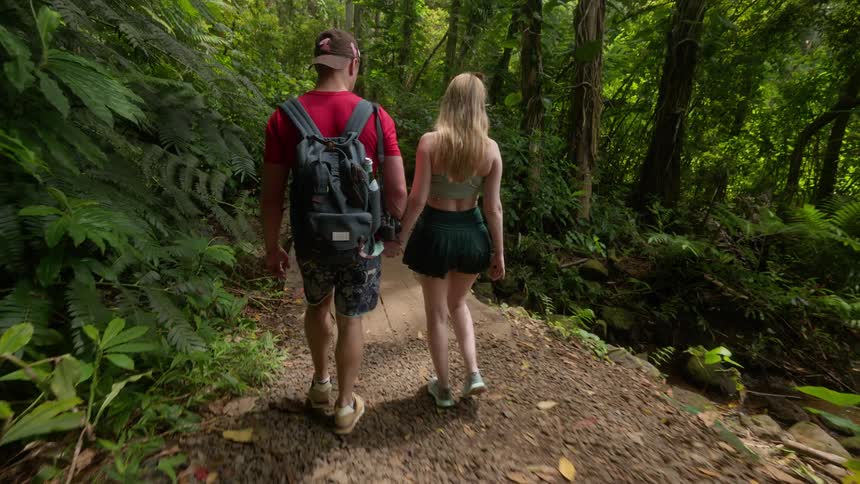 A young couple holds hands while walking together on a scenic trail through a lush tropical jungle