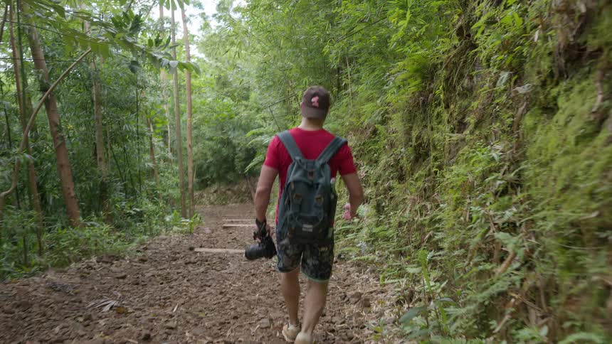 Male photographer with a camera and backpack hikes down a steep trail in a lush tropical jungle