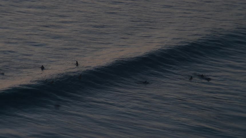 A wide shot shows a group of surfers waiting in the lineup for the next big wave in the calm, dark ocean at twilight