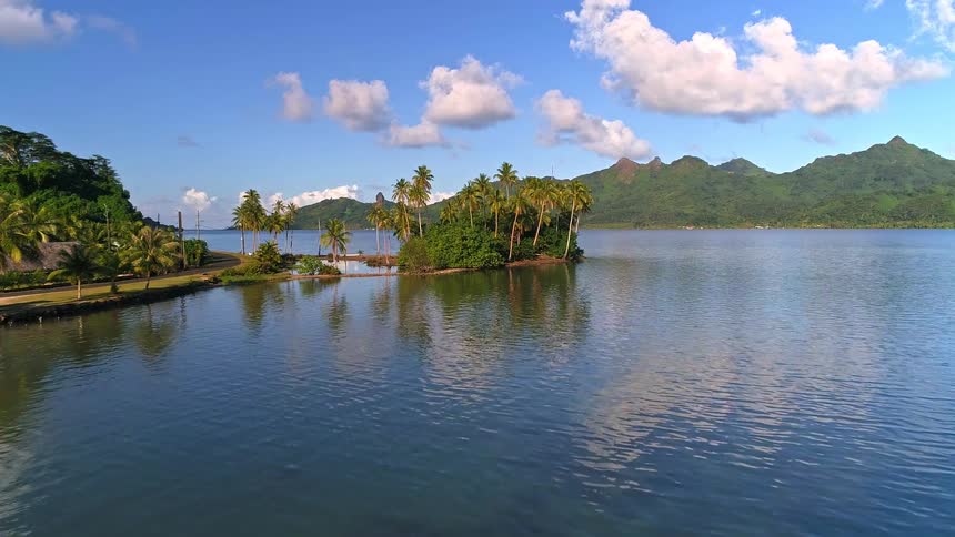 Aerial footage glides over a serene tropical bay, passing a canoer, and approaching a beautiful palm tree islet with lush mountains in the background
