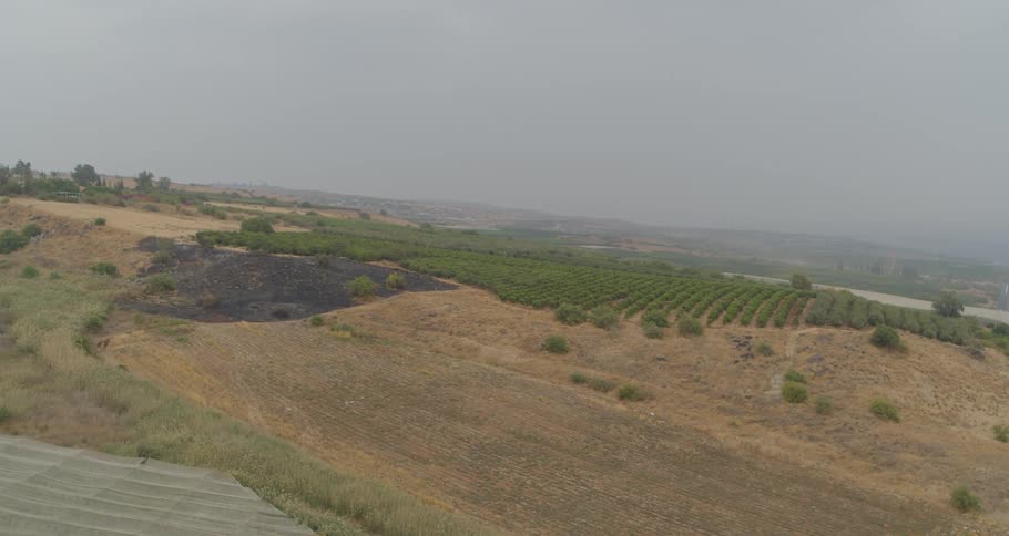Aerial view of a rural agricultural landscape with an orchard and a burnt patch of land under a hazy, overcast sky