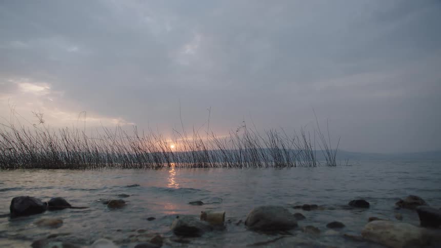 Slow motion shot of gentle waves lapping on a rocky shore at sunrise, with reeds silhouetted against the cloudy sky over a lake