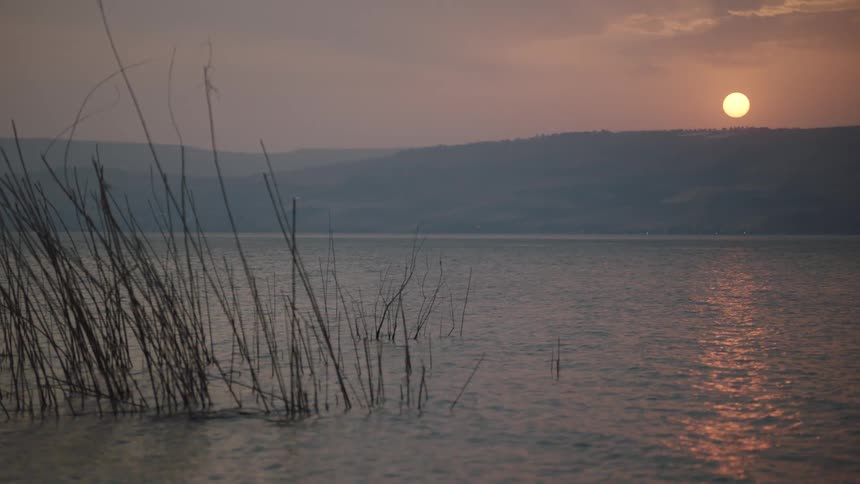 The sun sets over the hazy hills, casting a serene glow on a tranquil lake with reeds in the foreground