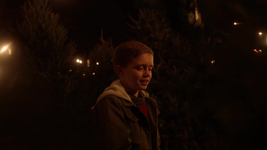 A boy looks at a tree in a christmas tree lot