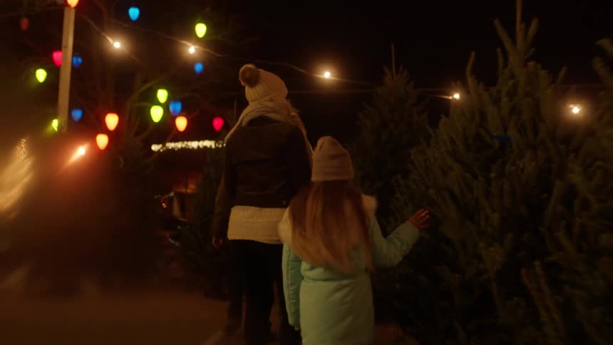 Family looking at christmas pine tree in tree farm outside at night