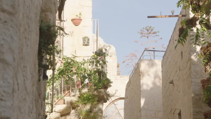 Sunlight streams down a narrow, ancient stone alleyway where a staircase is adorned with lush green plants