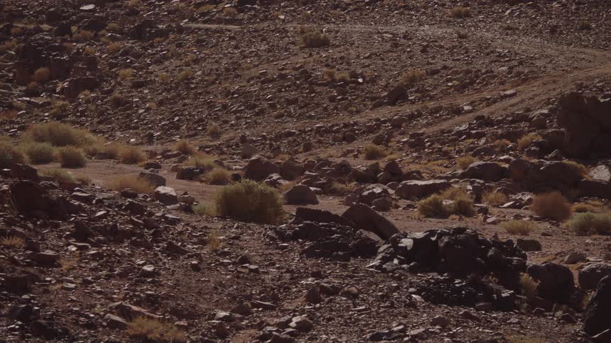 A wide, static shot of a rocky, arid desert valley with sparse, dry vegetation under the sun