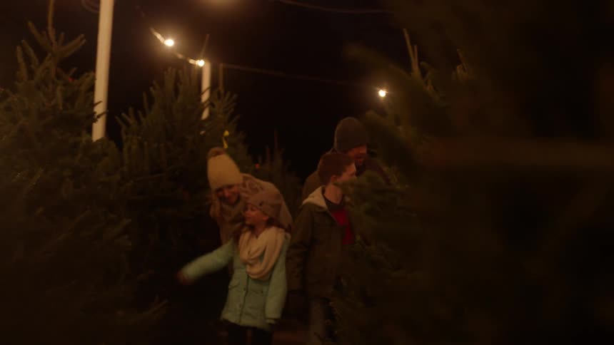 A family walks through a christmas tree lot