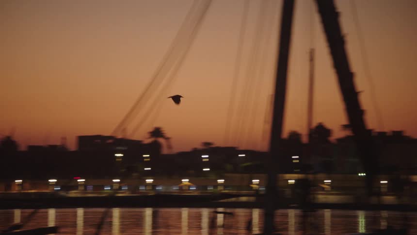 A bird flies in slow motion over a river against a warm twilight sky as the silhouetted city lights reflect on the water