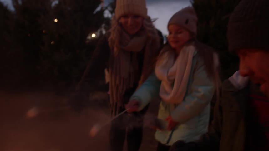 People roast marshmallows over a fire outside at night