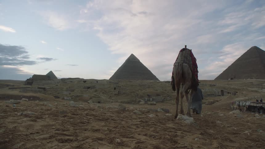 A camel herder in traditional robes leads his saddled camel through the desert towards the Great Pyramids of Giza at dusk