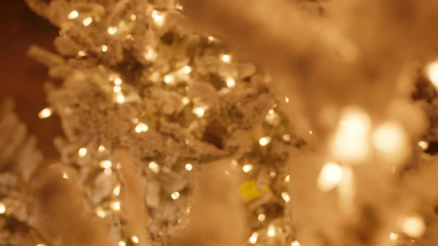 The white christmas tree has many lights